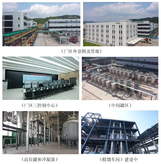 新葡的京集团350vip8888(中国)有限公司官网