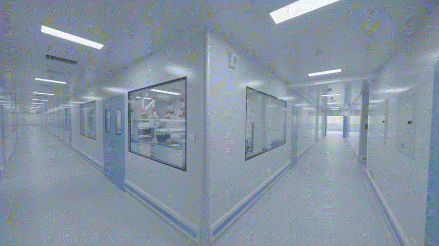 新葡的京集团350vip8888(中国)有限公司官网