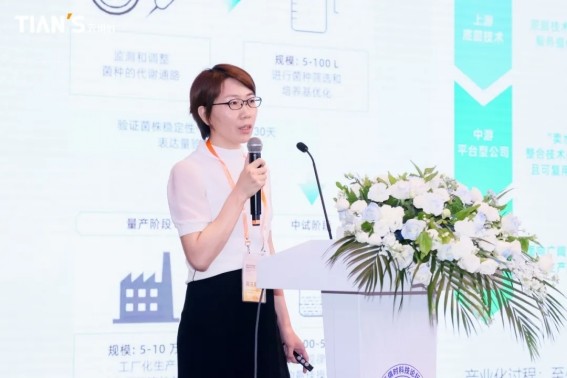 新葡的京集团350vip8888(中国)有限公司官网